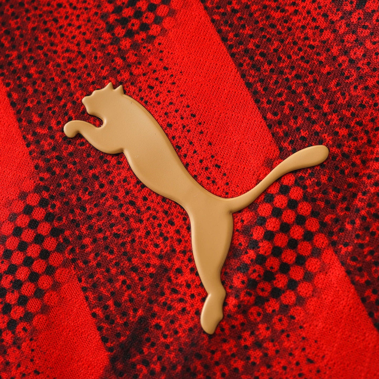 AC Milan 2024/25 Cathedral Jersey - Player Edition - The Jersey Vault