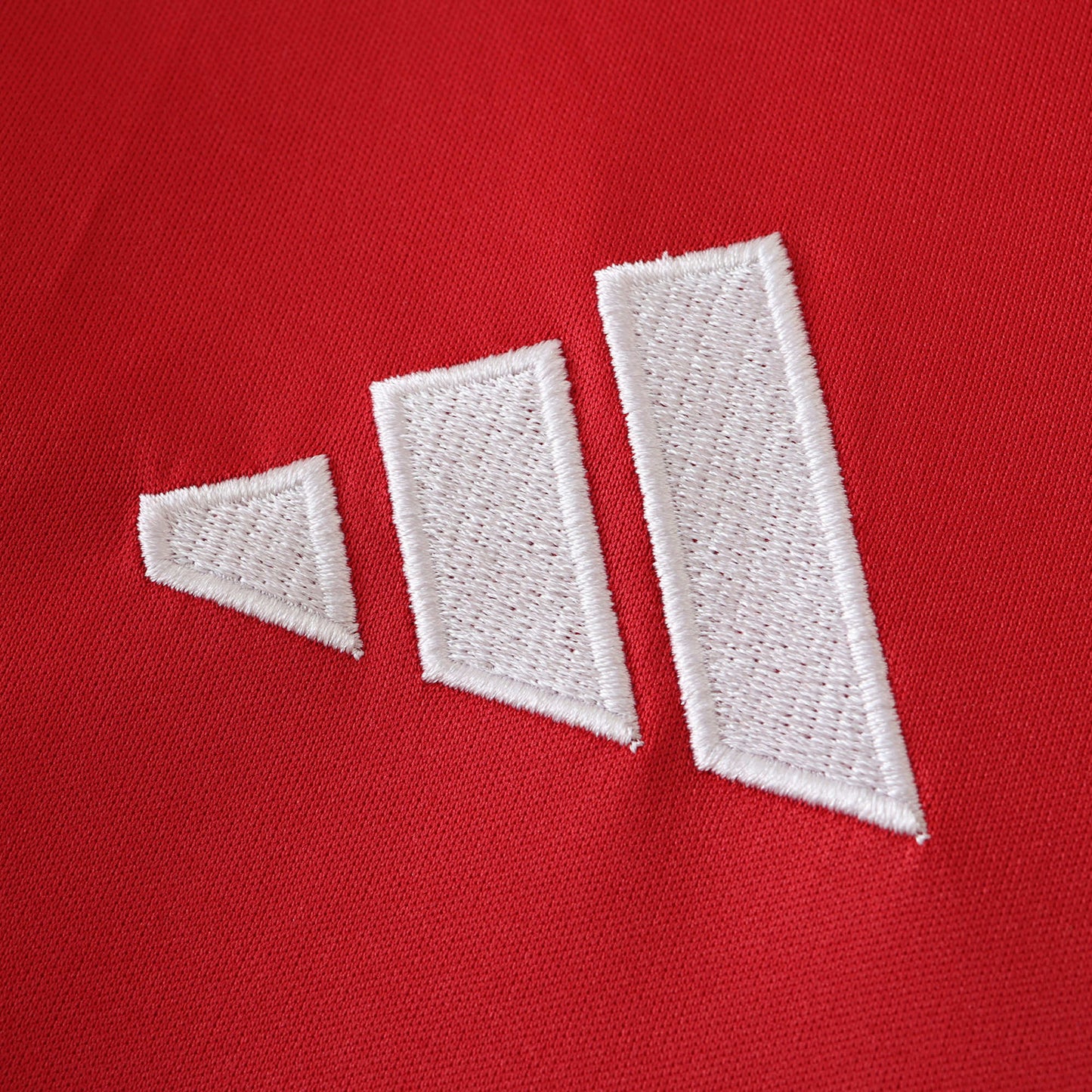 Manchester United 2024/25 Longsleeved Home Jersey - Fan Edition