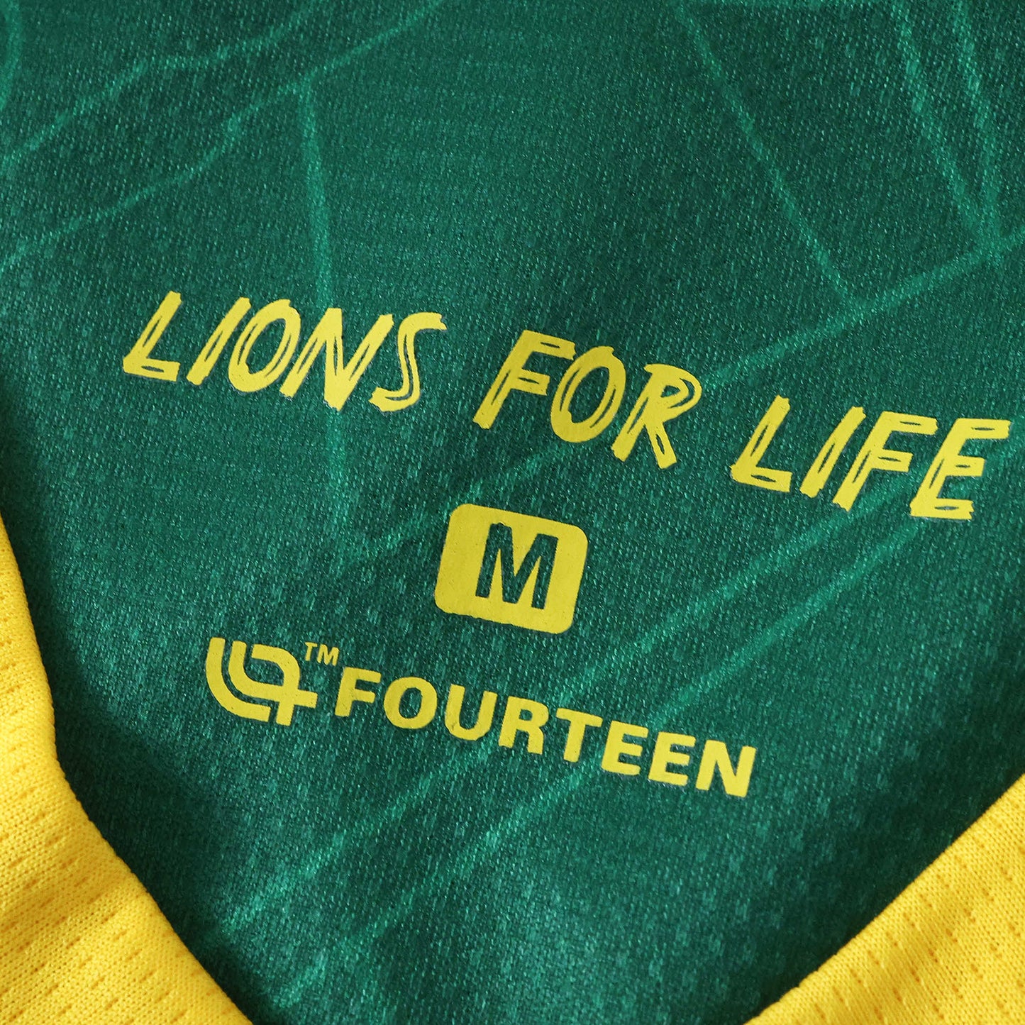 Cameroon 2025/26 Home Jersey - Fan Edition