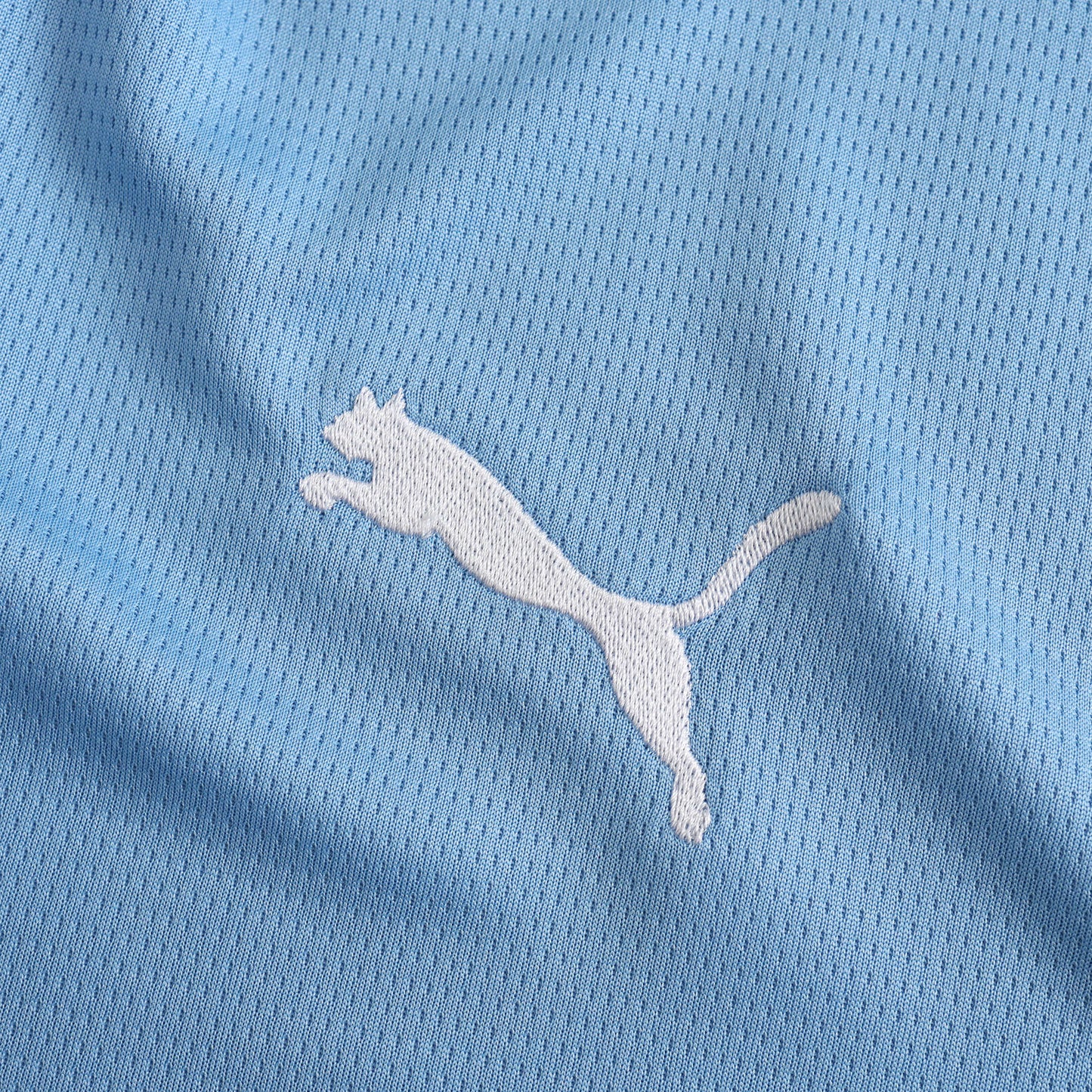 Manchester City 2024/25 Home Jersey - Fan Edition - The Jersey Vault