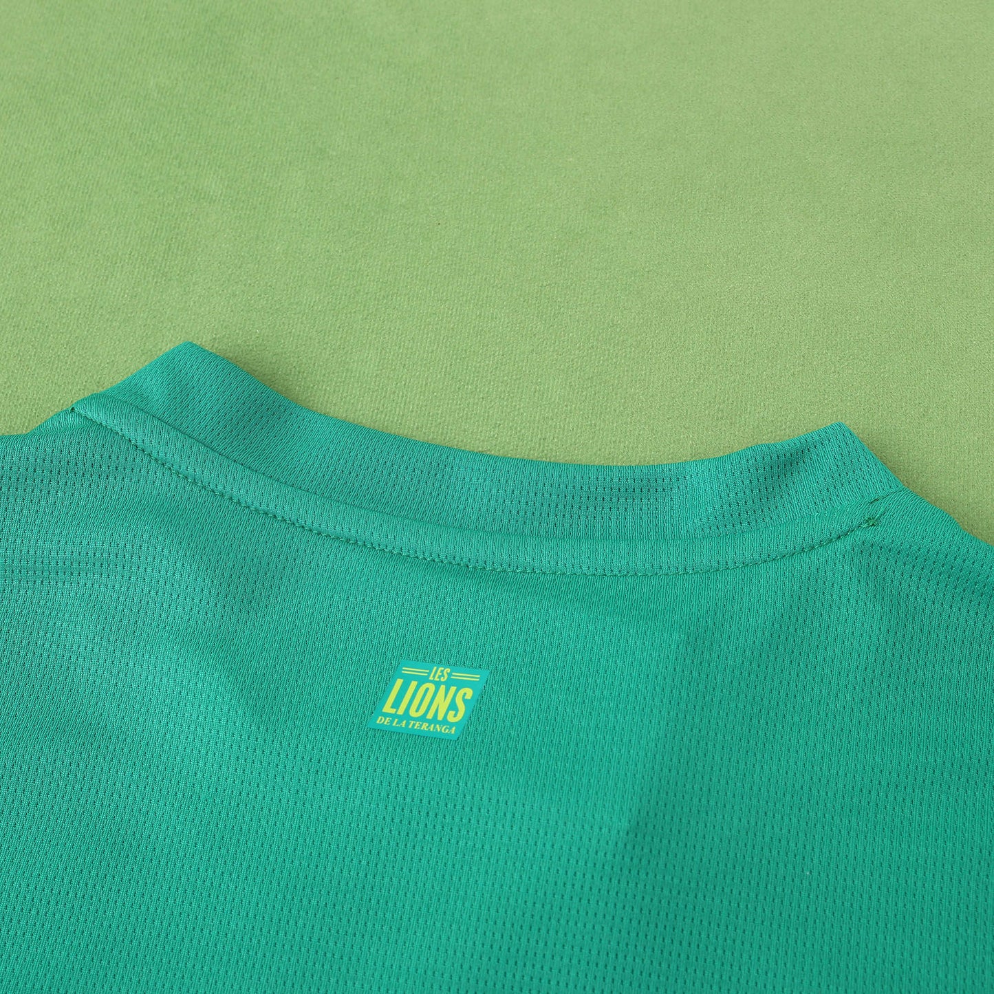 Senegal 2024/25 Home Jersey - Fan Edition