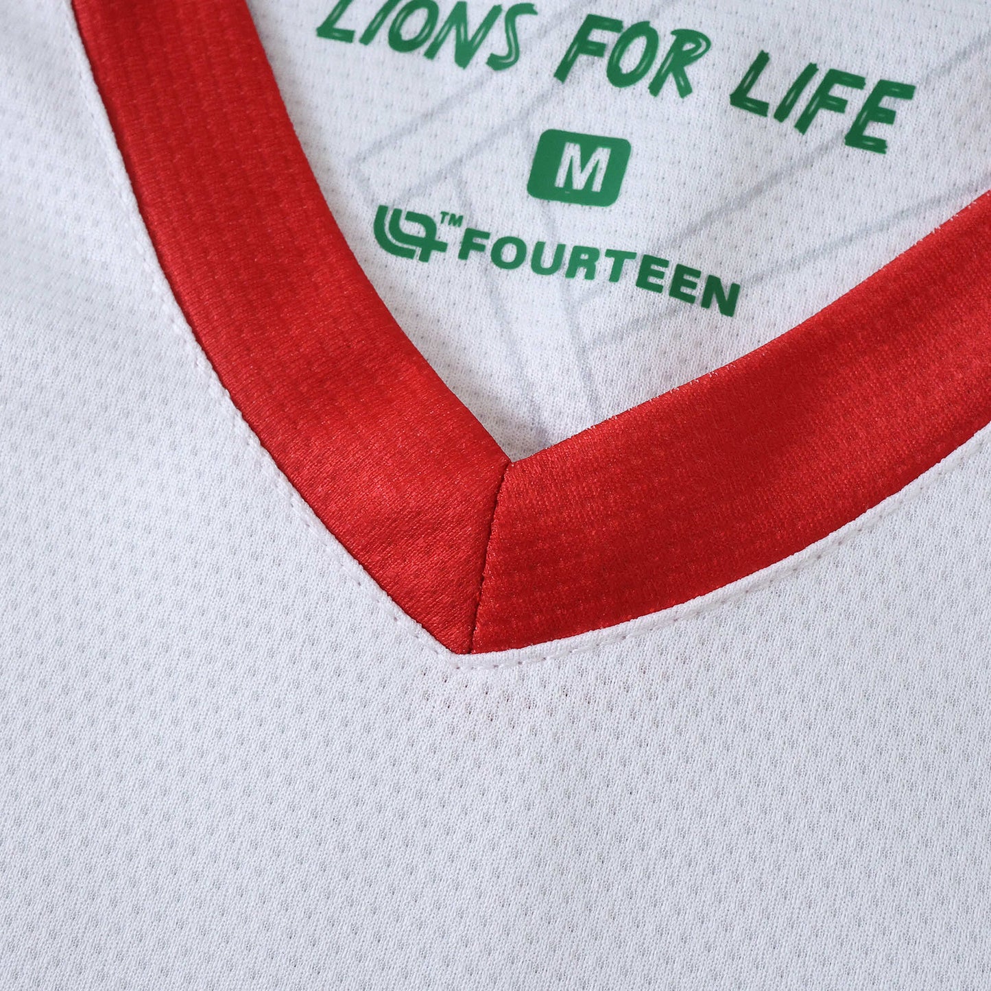 Cameroon 2025/26 Third Jersey - Fan Edition