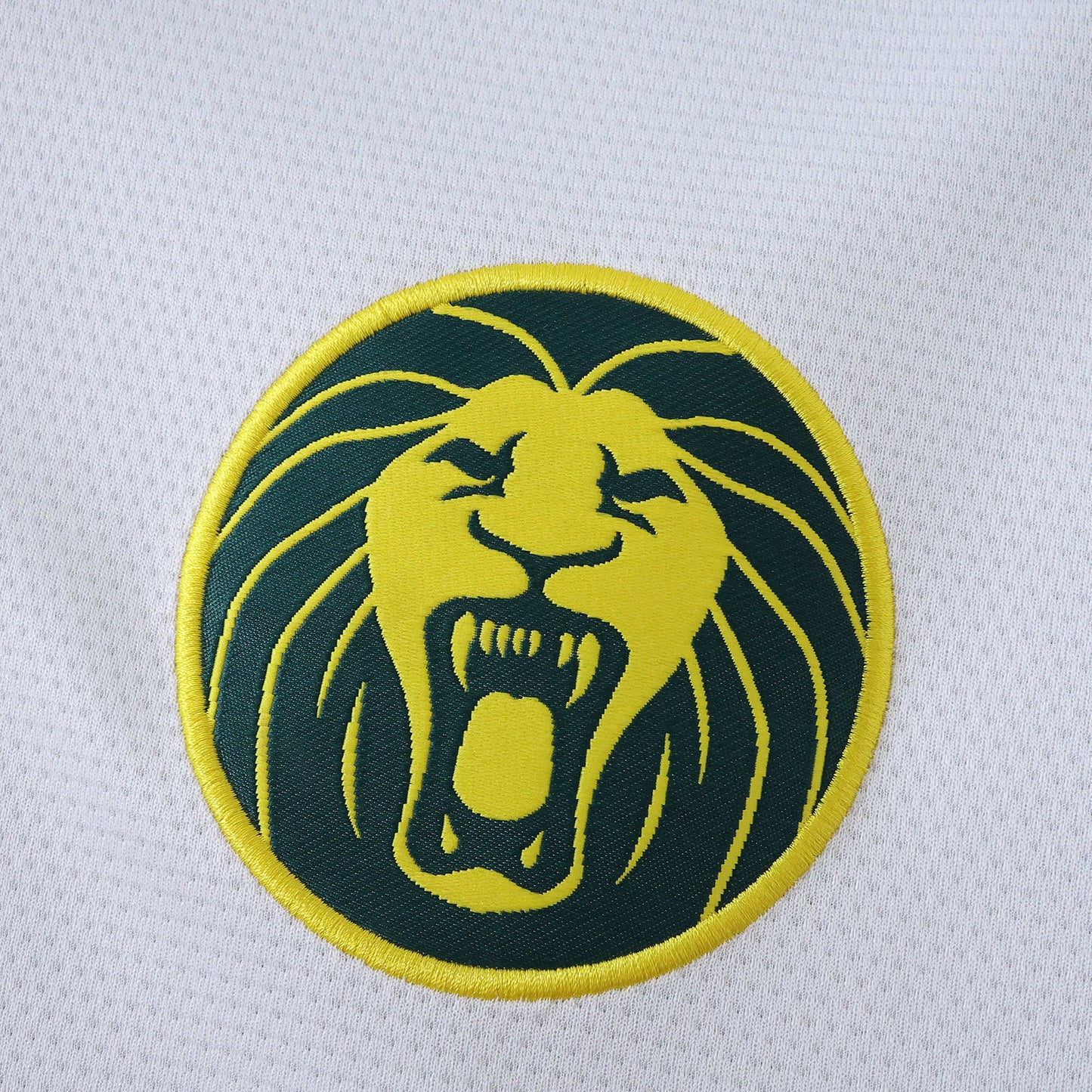 Cameroon 2025/26 Third Jersey - Fan Edition
