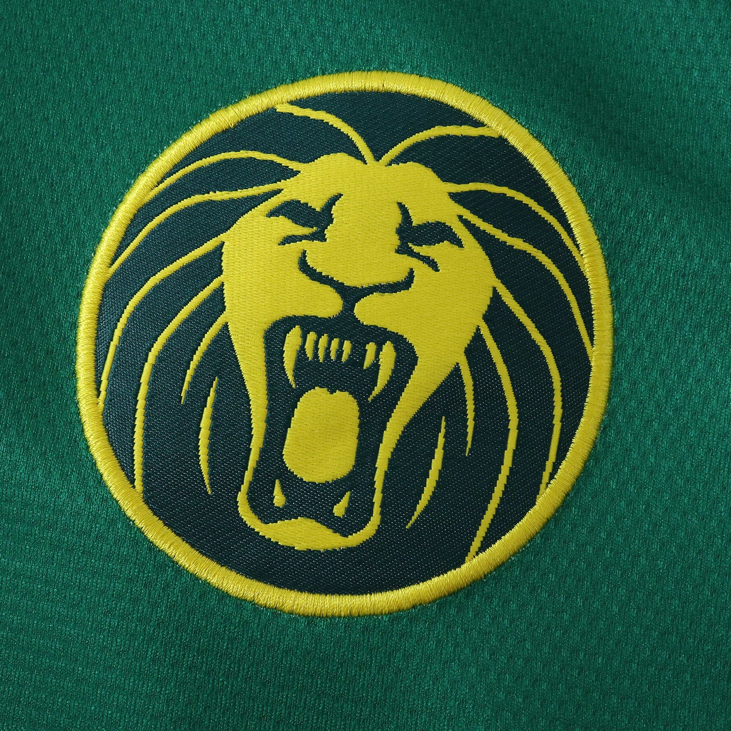Cameroon 2025/26 Home Jersey - Fan Edition