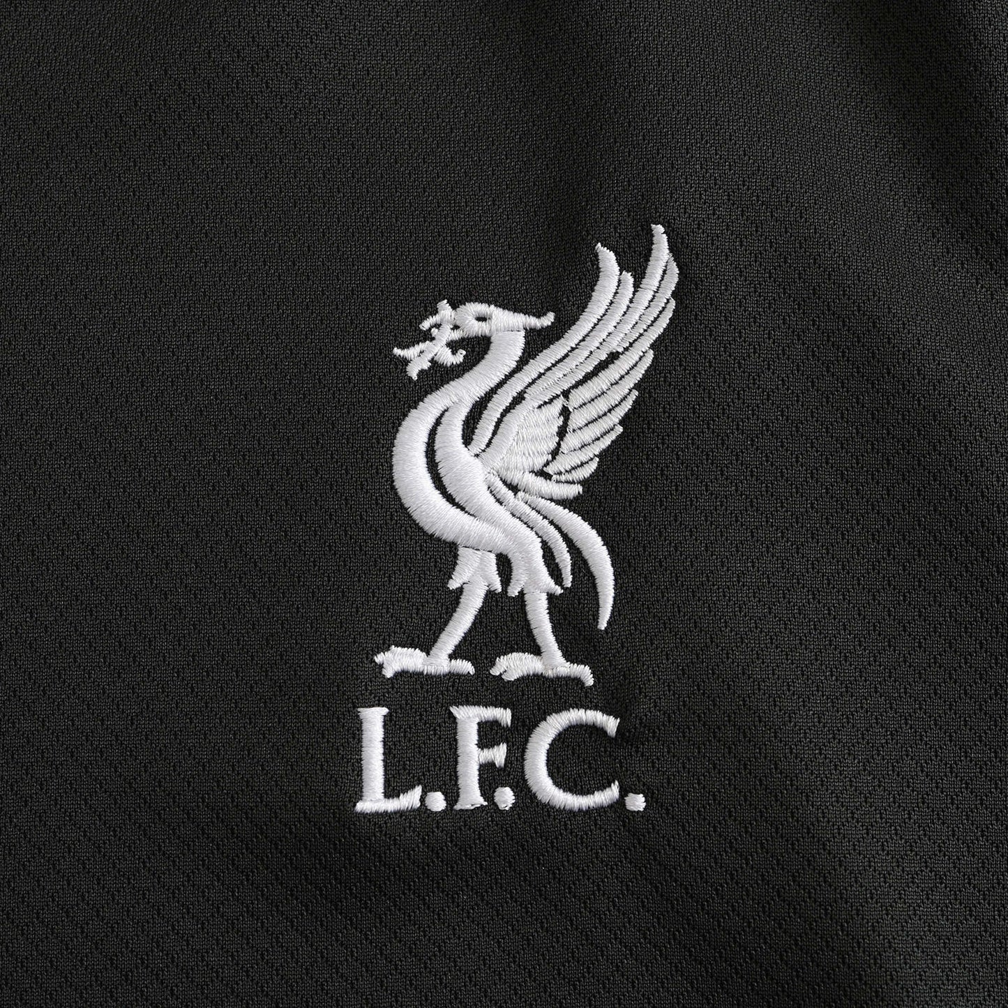Liverpool 2024/25 Away Jersey - Fan Edition