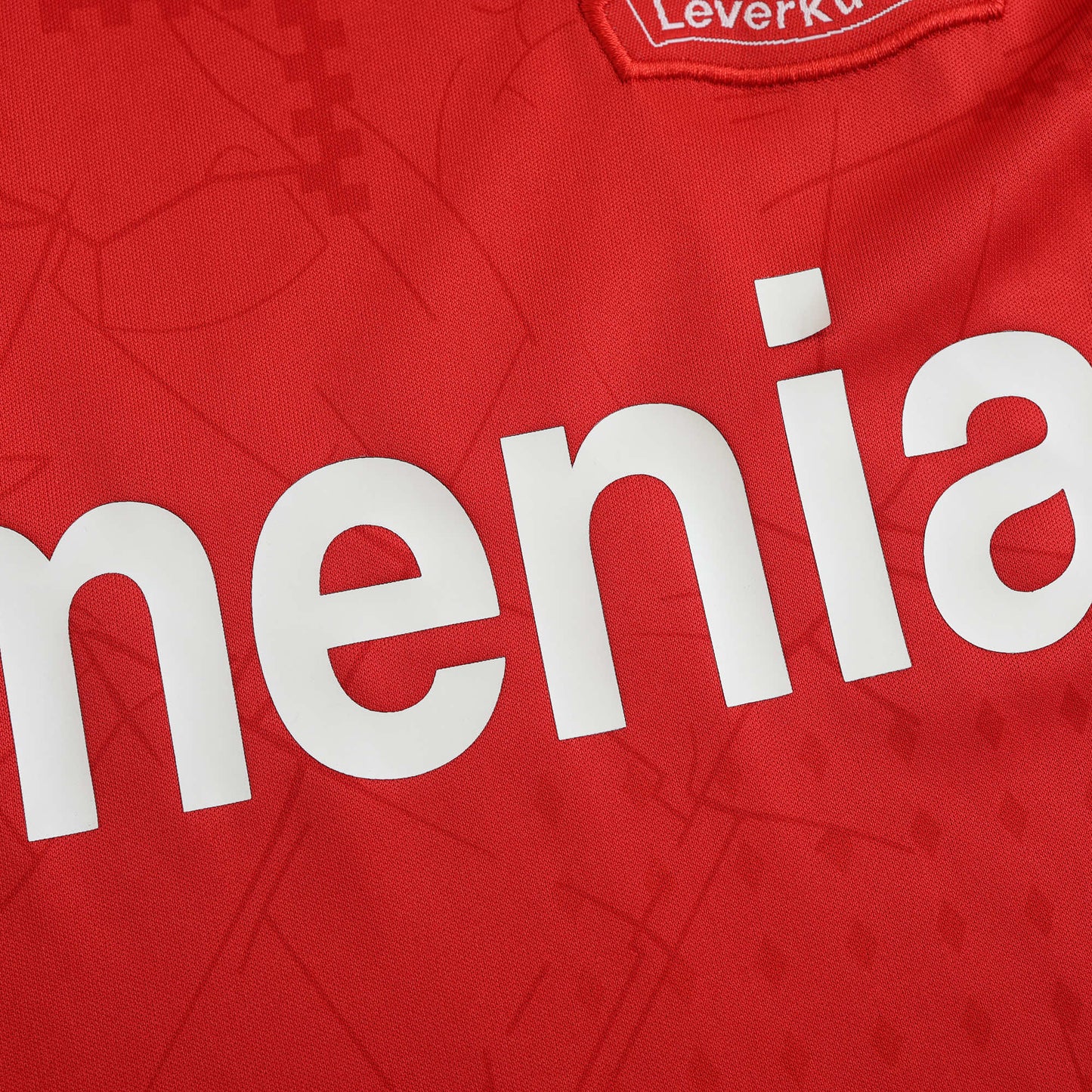 Bayern Leverkusen 2024/25 Home Jersey - Fan Edition