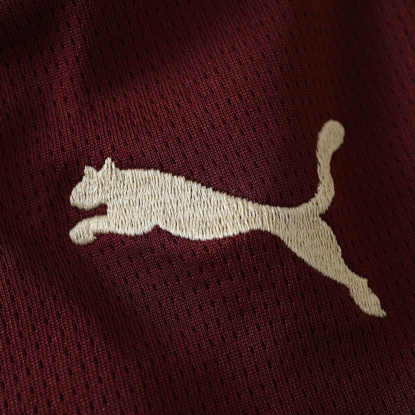 Manchester City 2024/25 Third Jersey - Fan Edition
