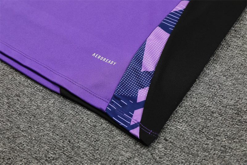 Germany 2024/25 Training Tracksuit (Purple)