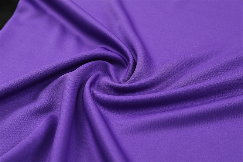 Germany 2024/25 Training Tracksuit (Purple)