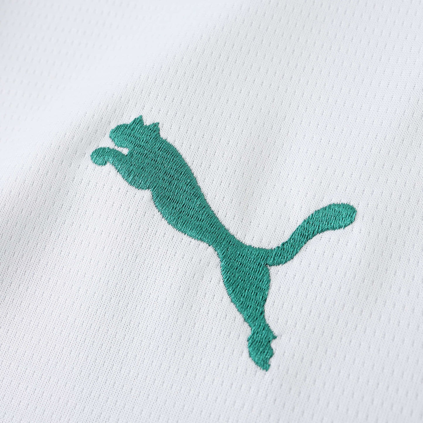 Senegal 2024/25 Away Jersey - Fan Edition