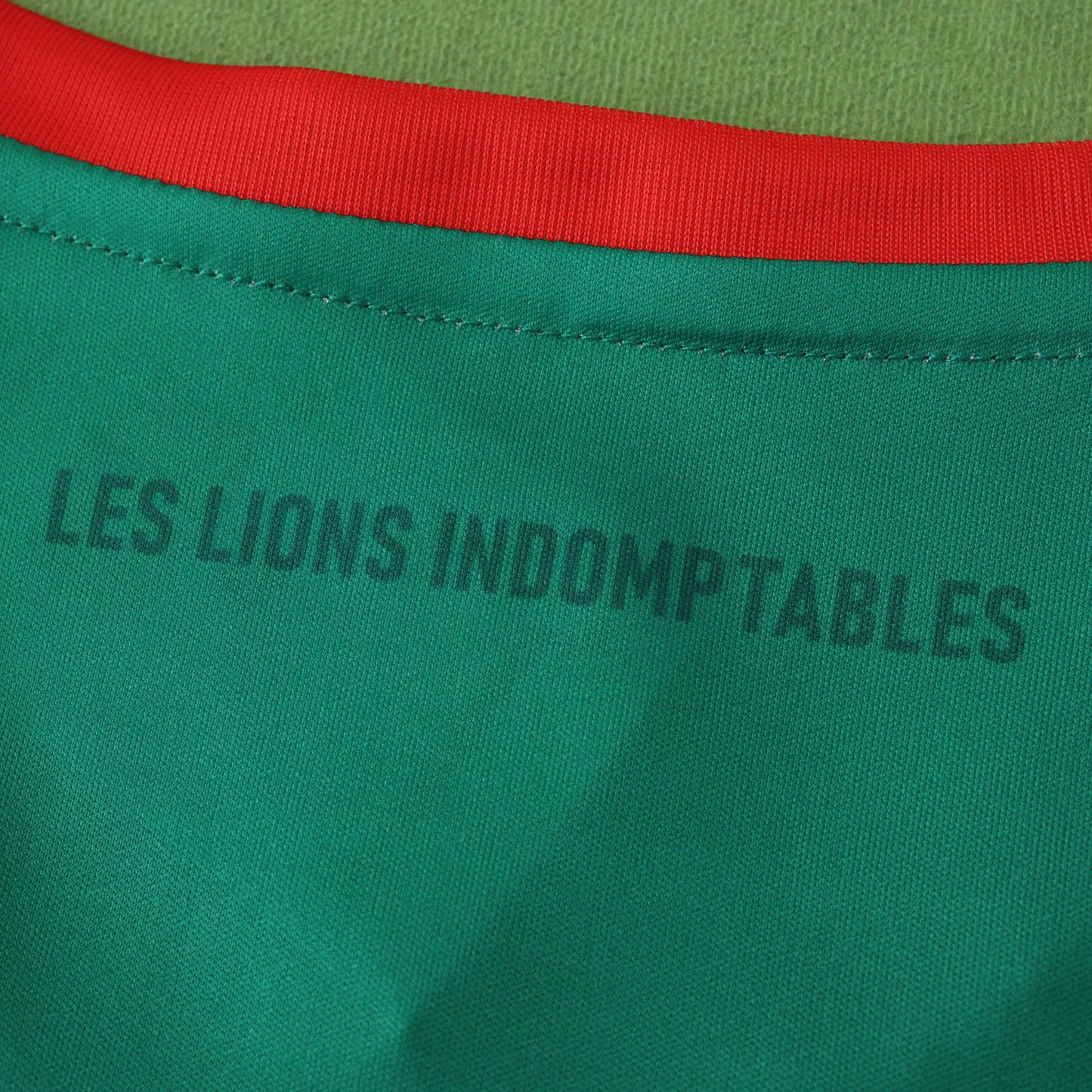 Cameroon 2024/25 Home Jersey - Fan Edition