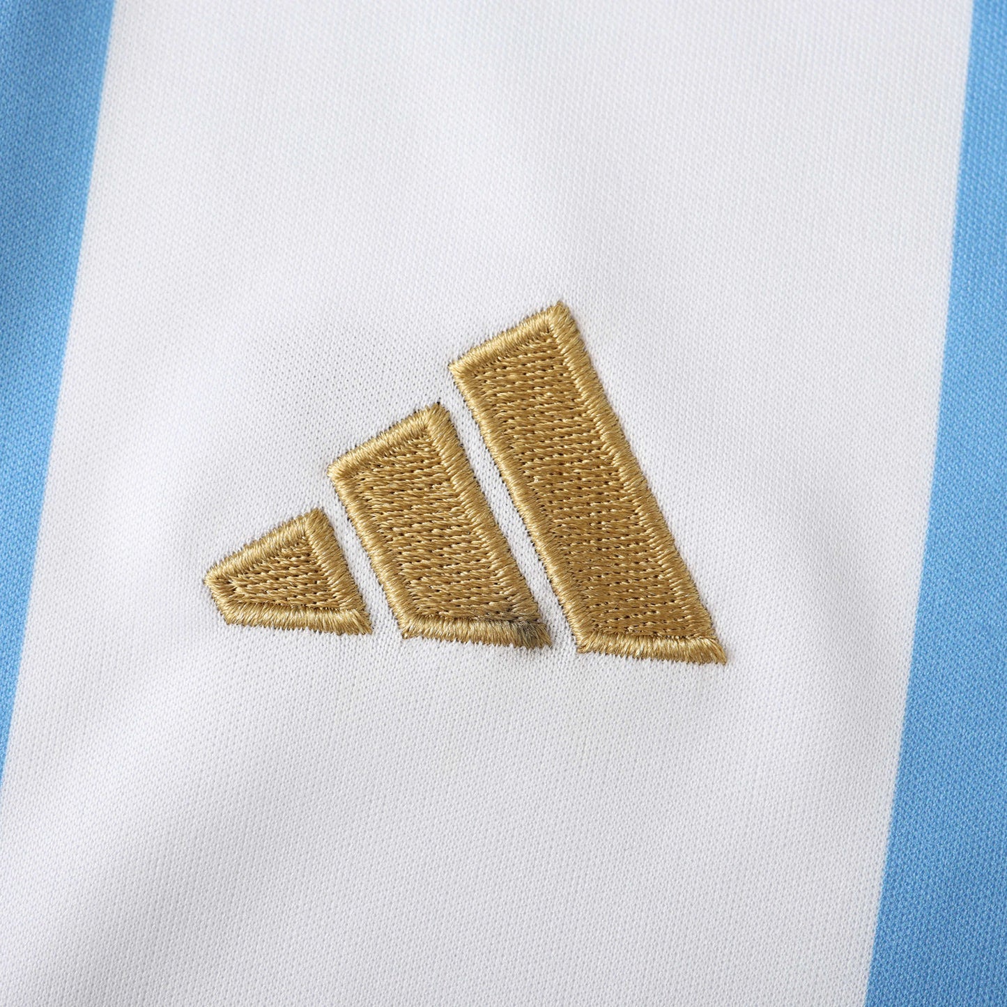 Argentina 2024/25 Home Kit - Fan Edition (Kids)