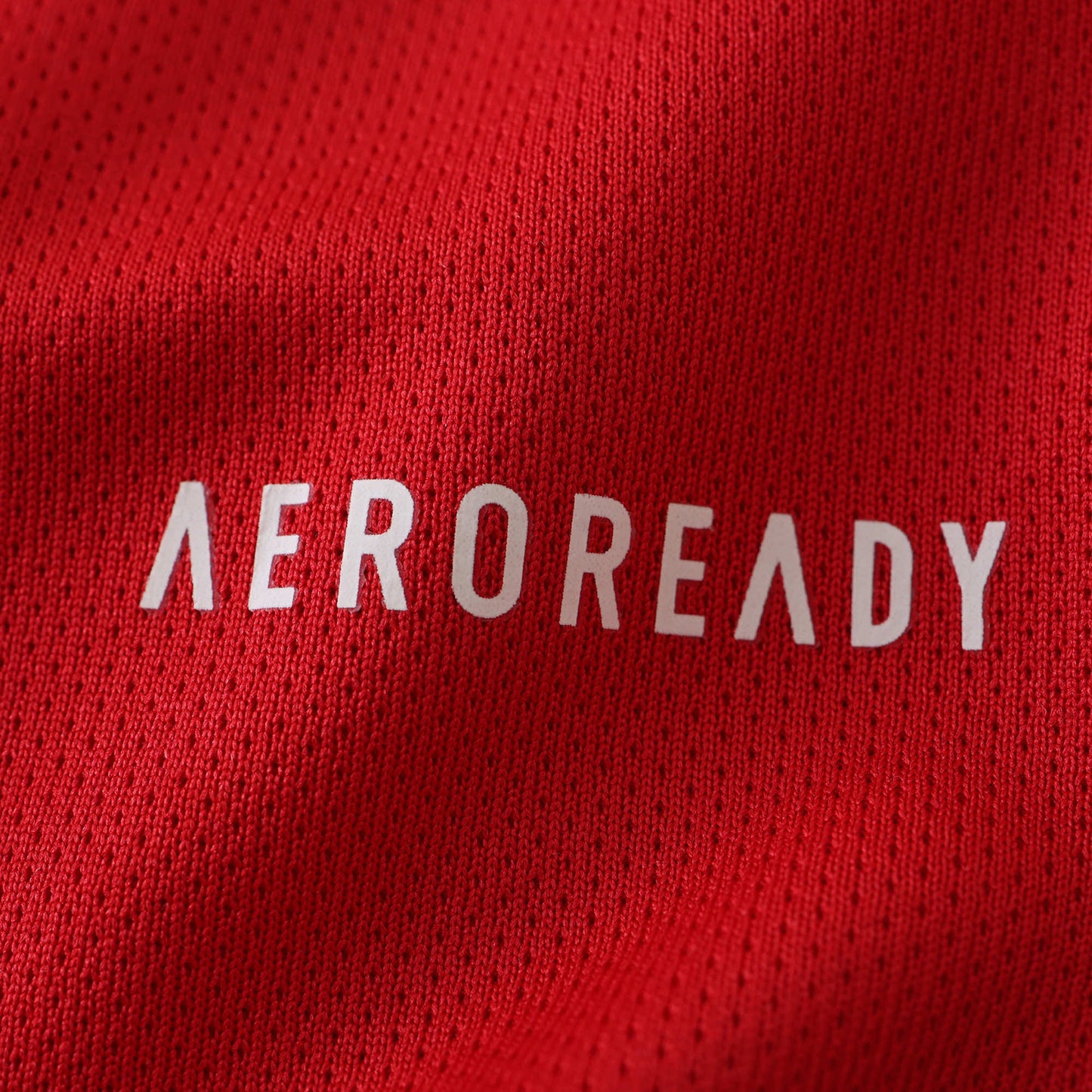 AFC Ajax  2024/25 Home Jersey - Fan Edition