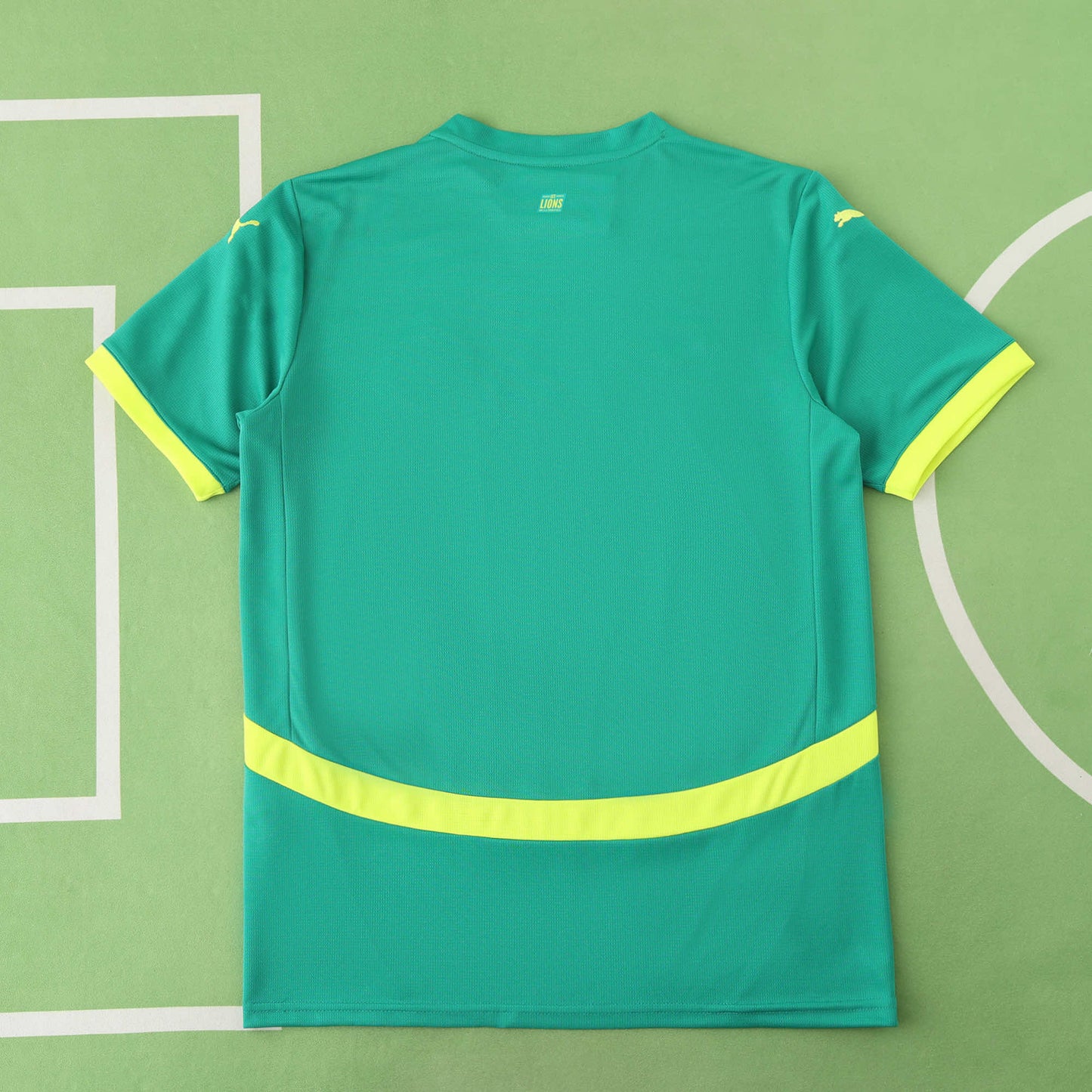 Senegal 2024/25 Home Jersey - Fan Edition