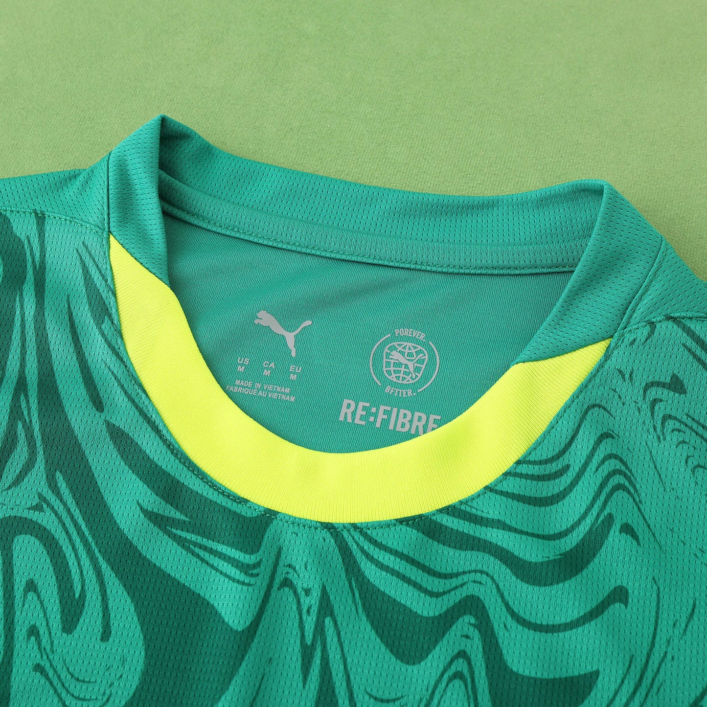 Senegal 2024/25 Home Jersey - Fan Edition