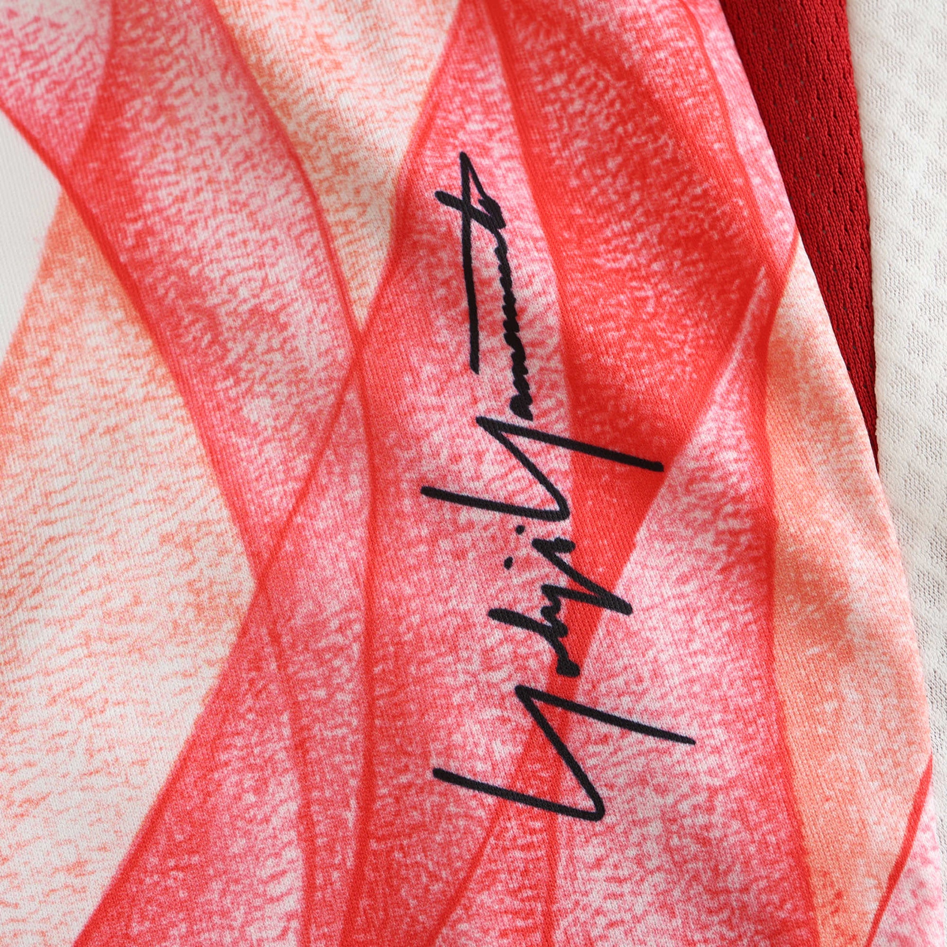 Japan 2024/25 Away Jersey - Fan Edition - The Jersey Vault