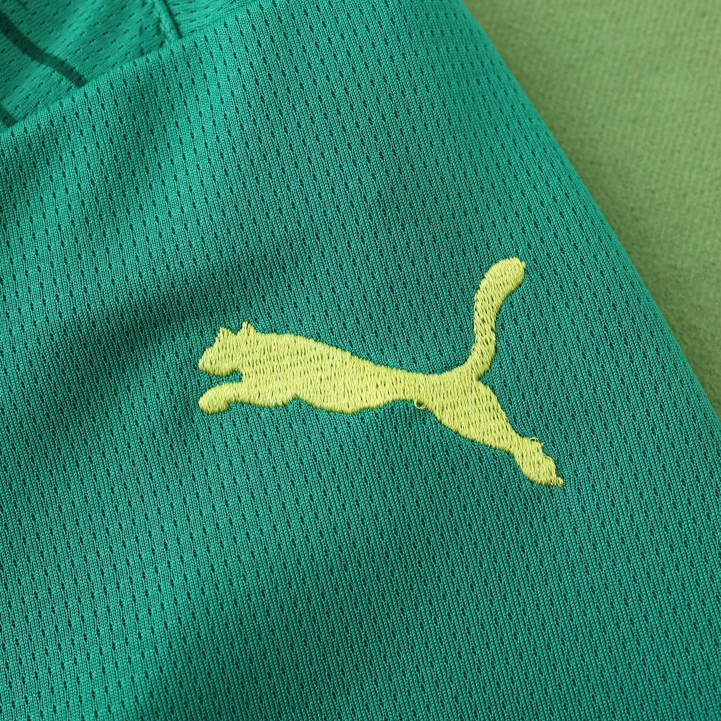 Senegal 2024/25 Home Jersey - Fan Edition