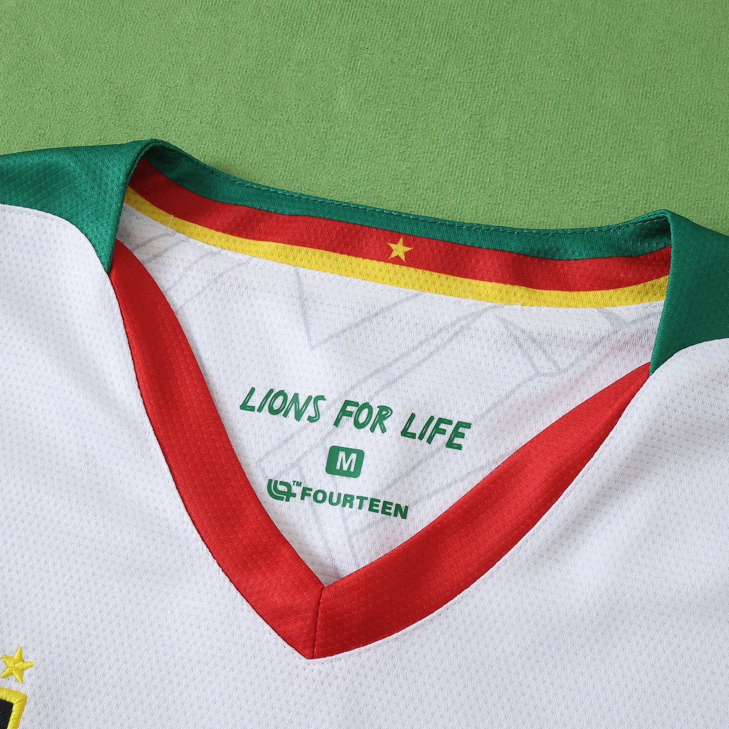 Cameroon 2025/26 Third Jersey - Fan Edition