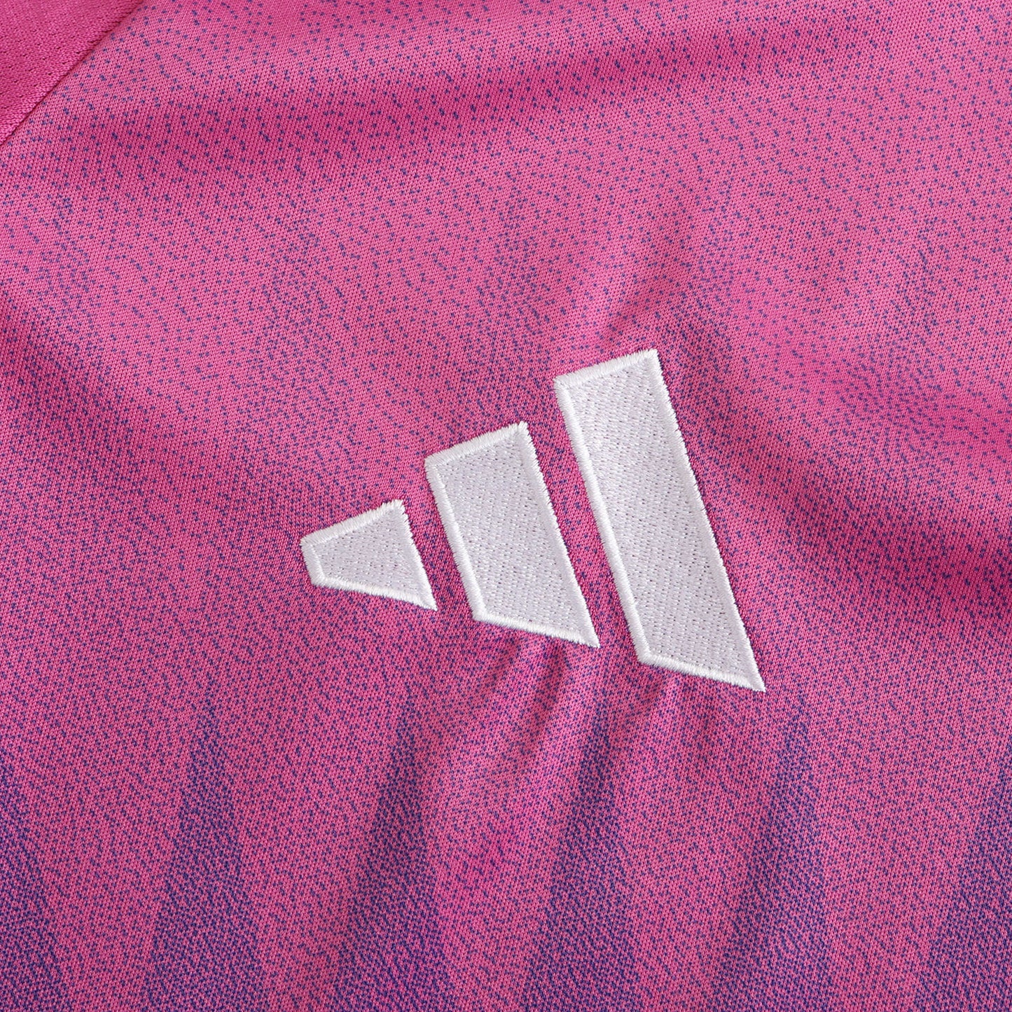 Germany 2024/2025 Away Jersey - Fan Edition