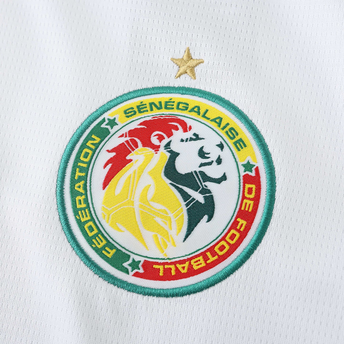 Senegal 2024/25 Away Jersey - Fan Edition
