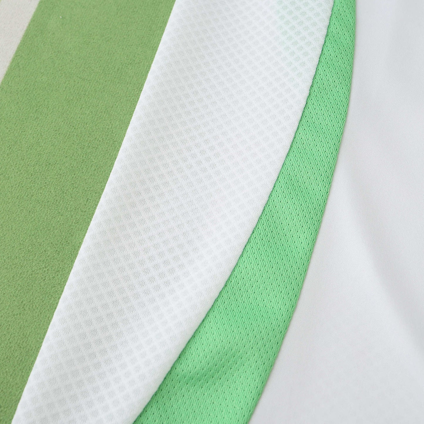 Algeria 2024/25 Home Jersey - Fan Edition