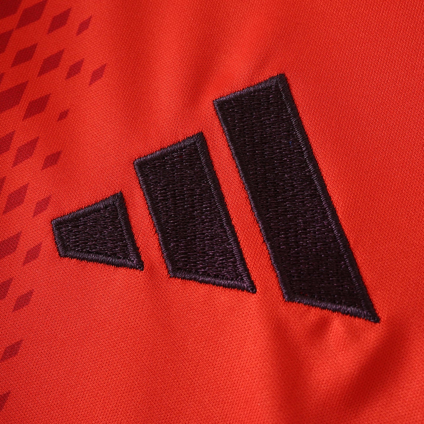 Bayern Munich 2024/25 Longsleeved Home Jersey - Fan Edition