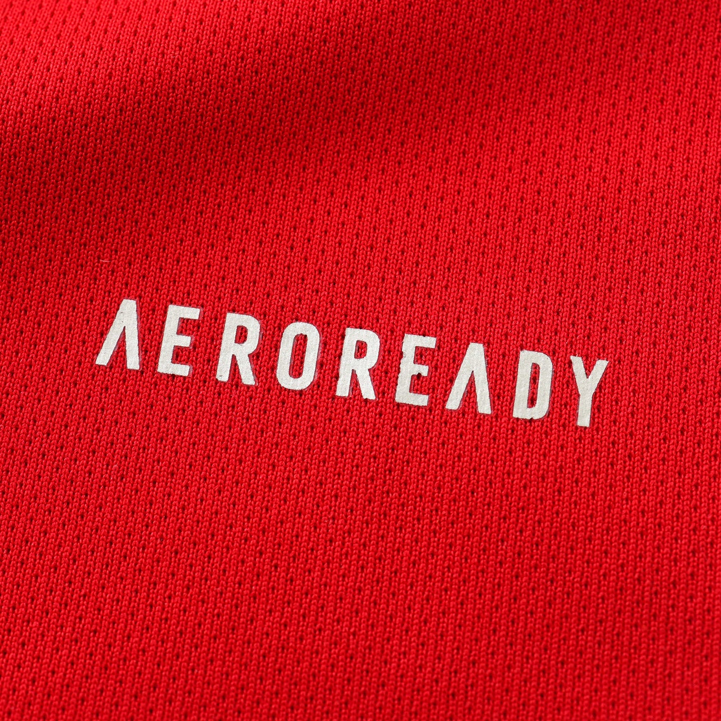 AFC Ajax 2024/25 Home Jersey - Fan Edition (Kids)