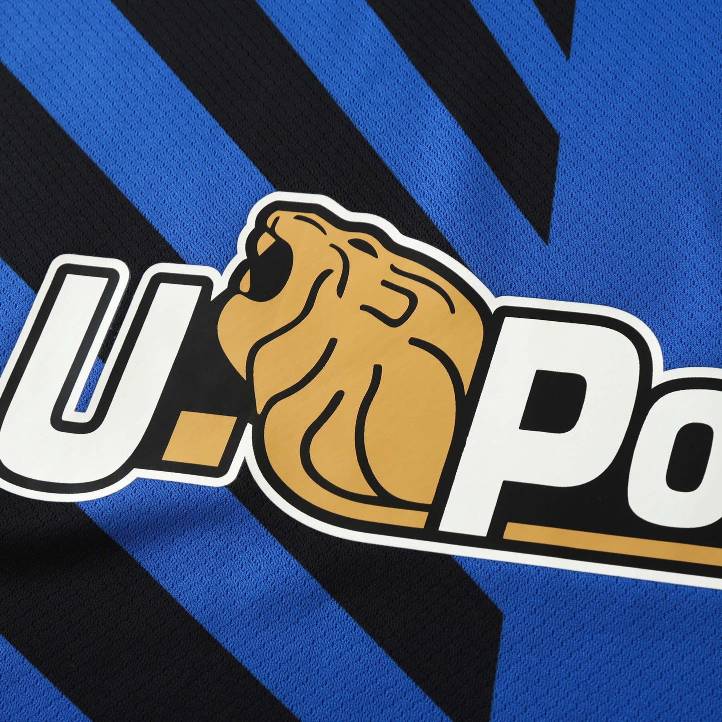 Inter Milan 2024/25 Home Jersey - Fan Edition