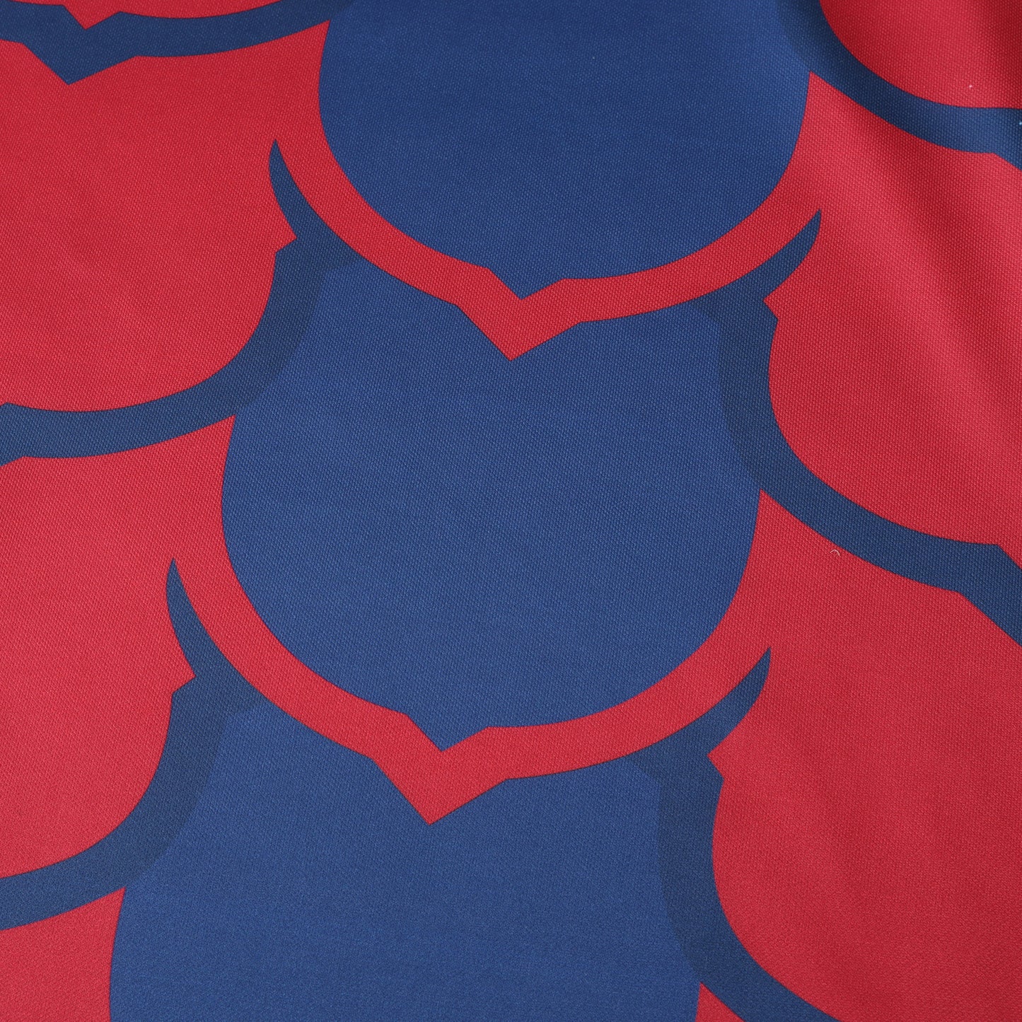 FC Barcelona 2024/25 Scales Special Jersey - Fan Edition