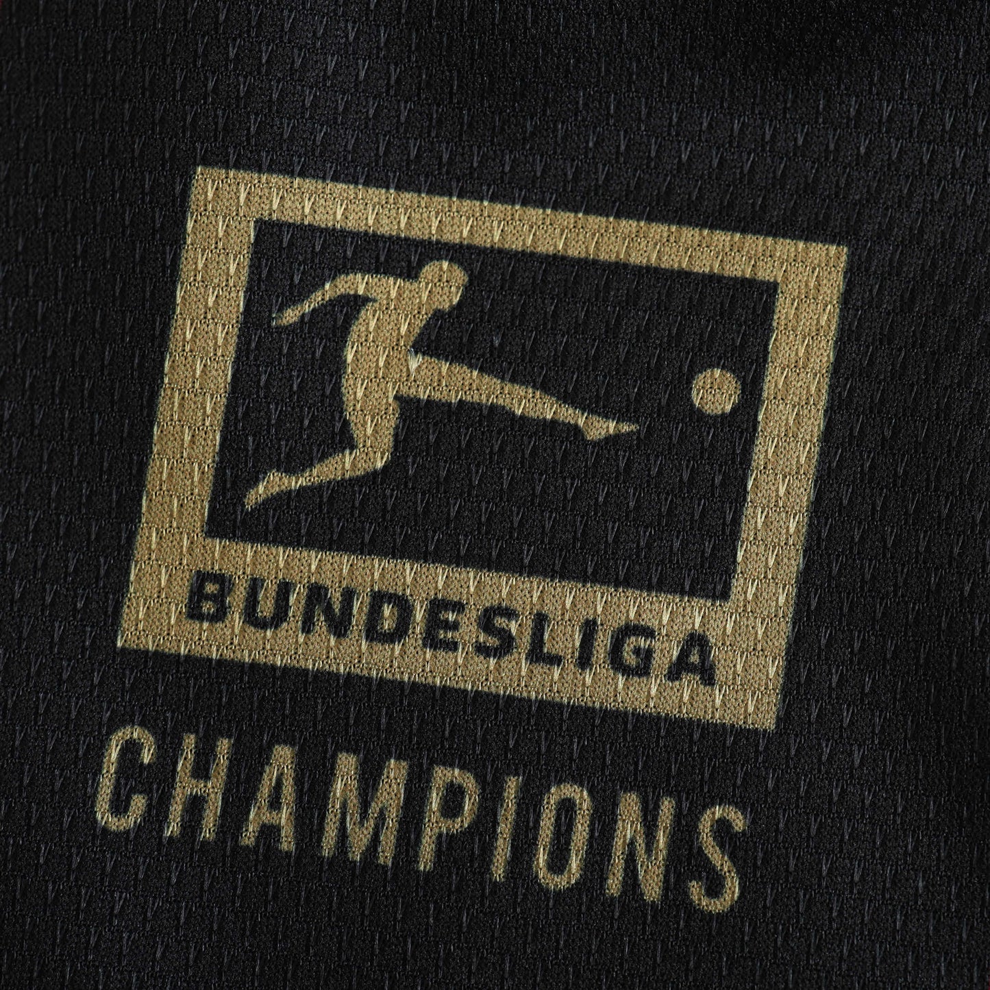 Bayern Leverkusen 2024/25 Special Jersey (Black)- Fan Edition