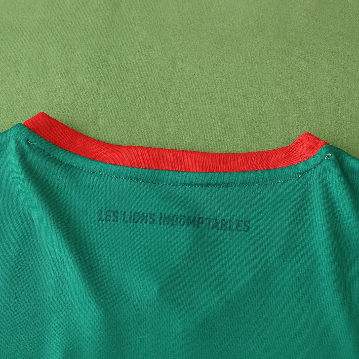 Cameroon 2024/25 Home Jersey - Fan Edition