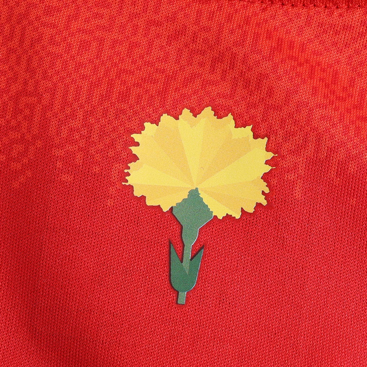 Spain 2024/25 Home Jersey - Fan Edition - The Jersey Vault