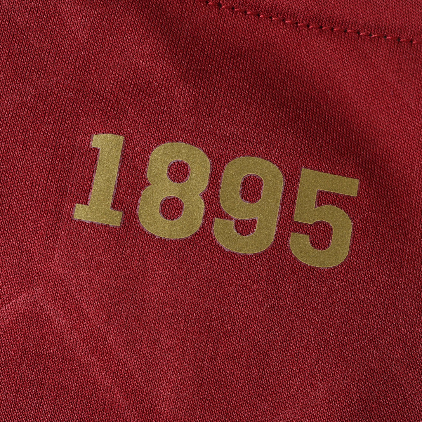 Belgium 2024/25 Home Jersey - Fan Edition - The Jersey Vault