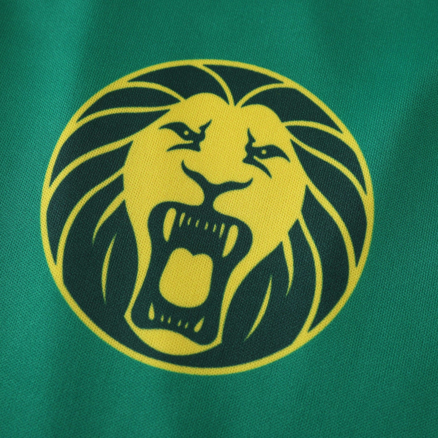 Cameroon 2024/25 Home Jersey - Fan Edition