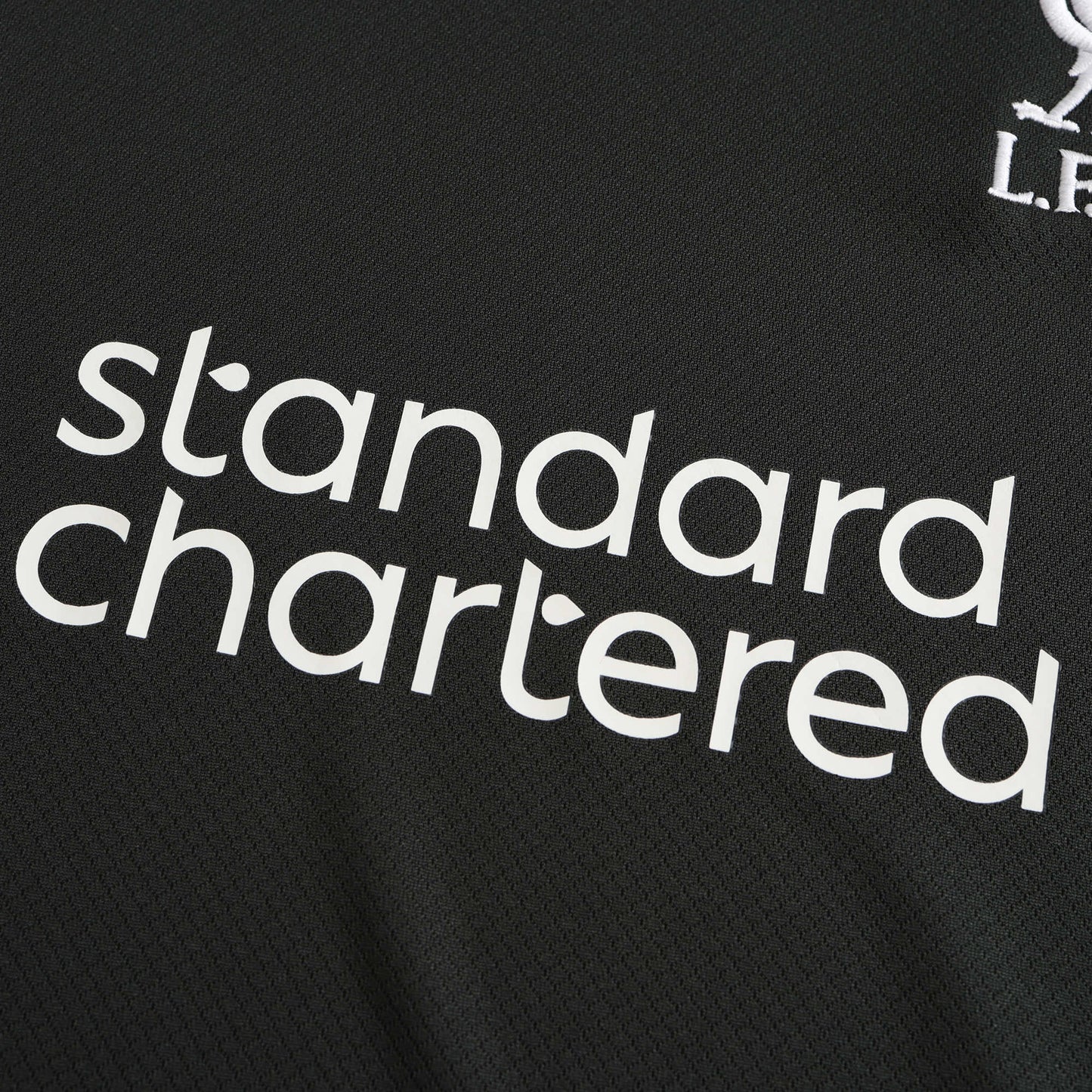 Liverpool 2024/25 Away Jersey - Fan Edition