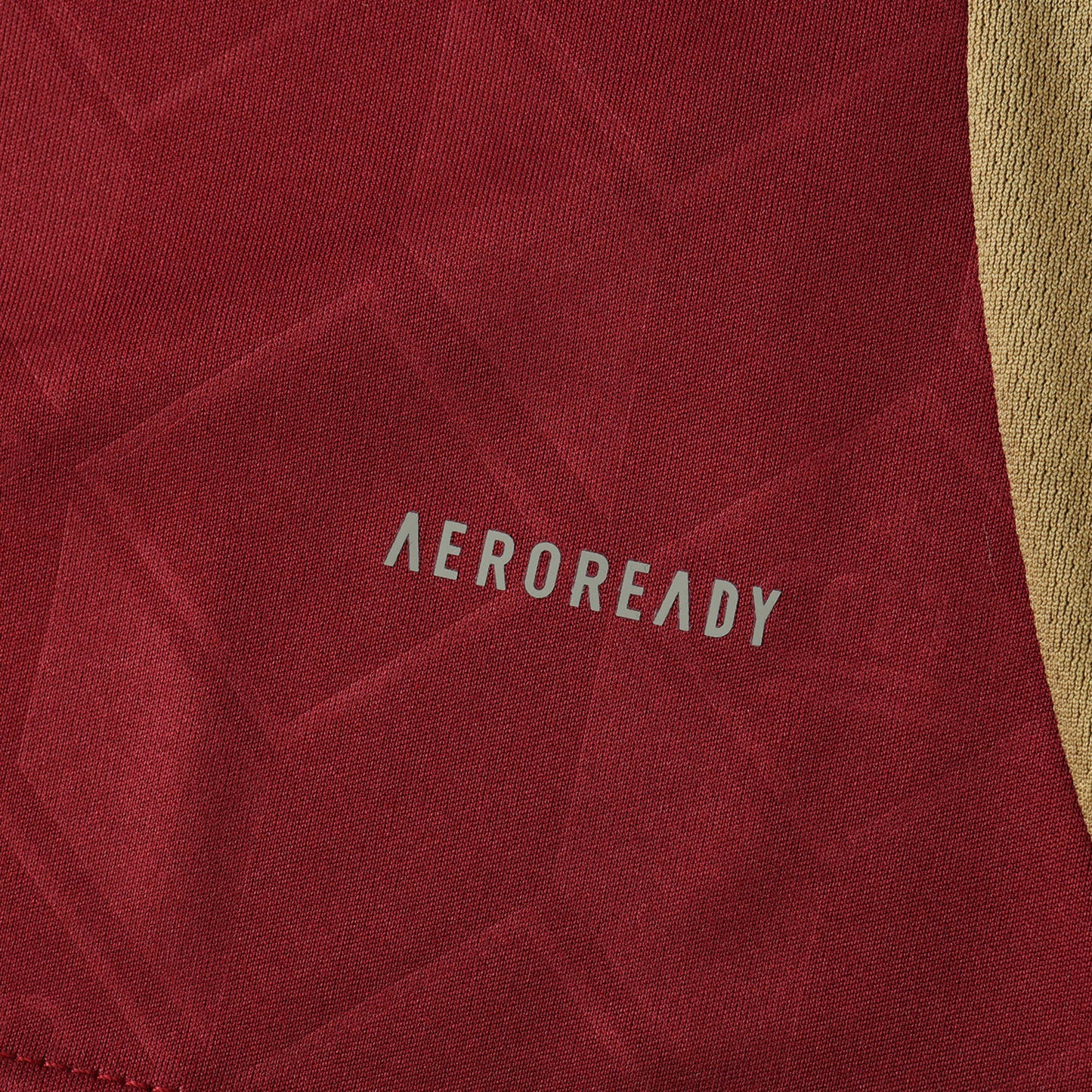 Belgium 2024/25 Home Jersey - Fan Edition - The Jersey Vault