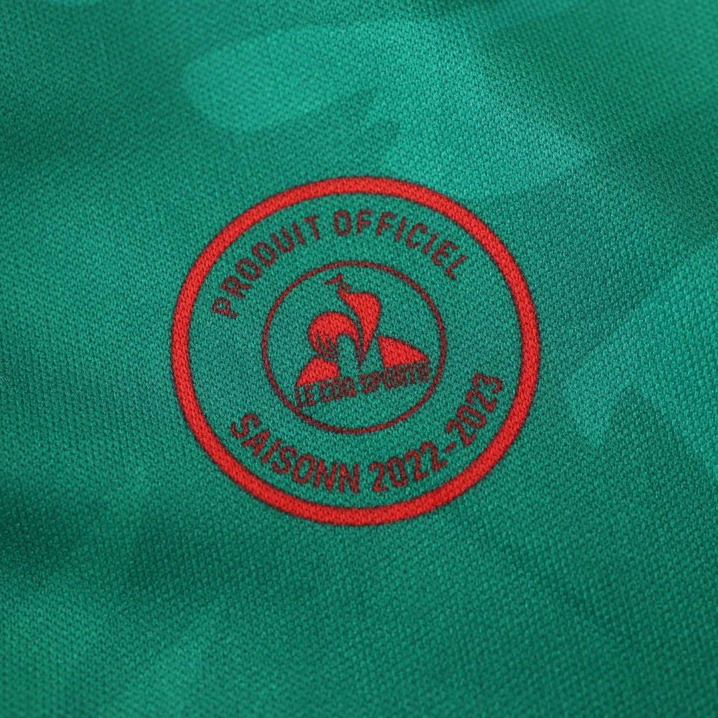 Cameroon 2024/25 Home Jersey - Fan Edition
