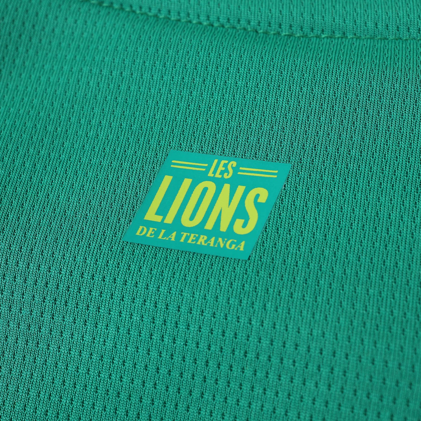 Senegal 2024/25 Home Jersey - Fan Edition