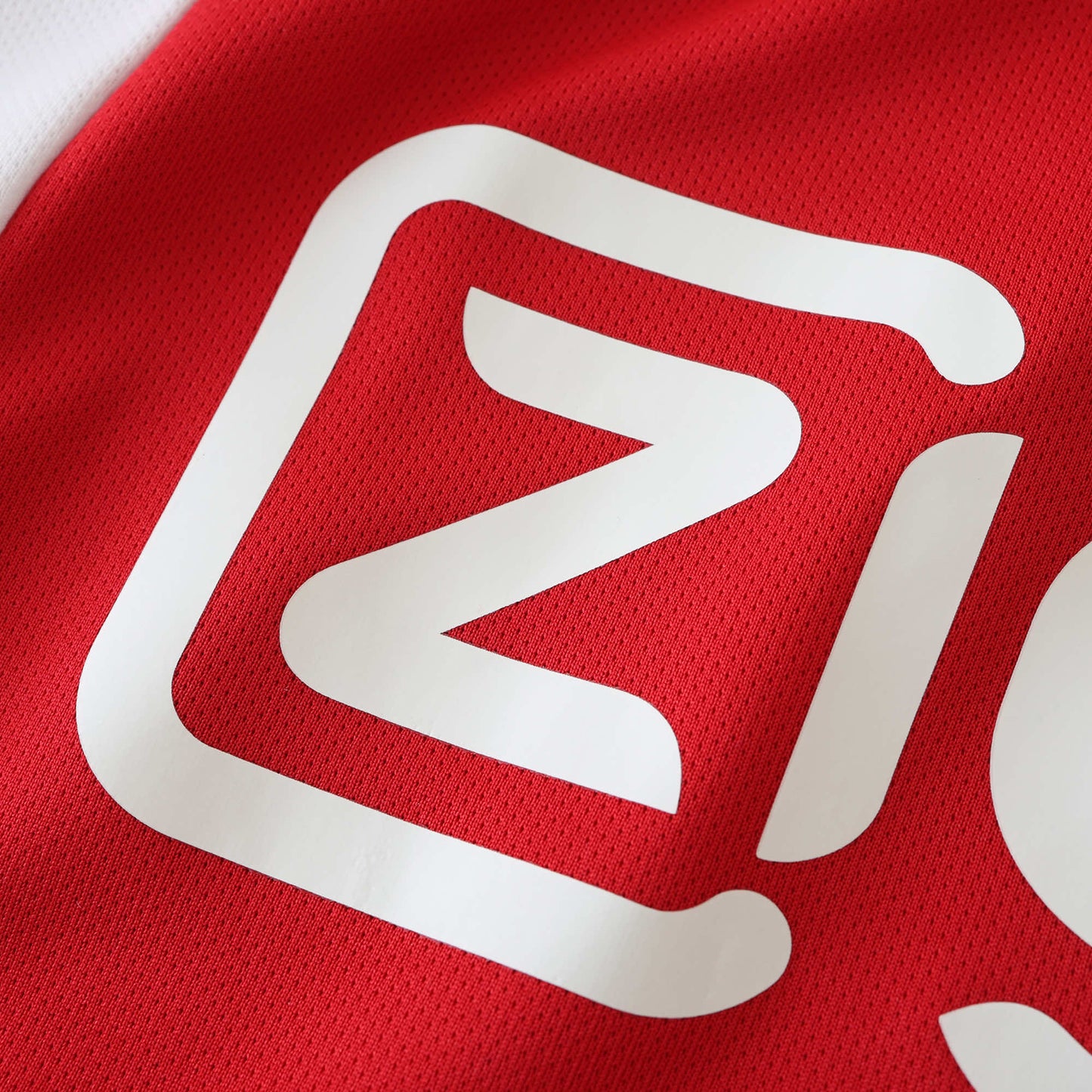 AFC Ajax  2024/25 Home Jersey - Fan Edition