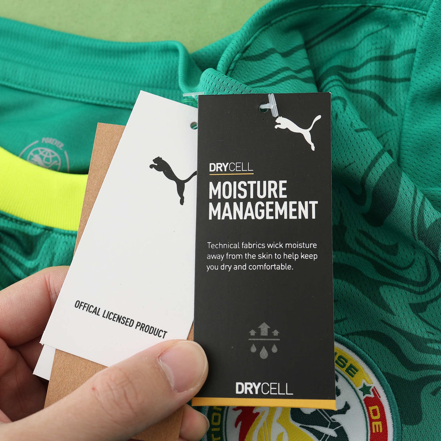 Senegal 2024/25 Home Jersey - Fan Edition