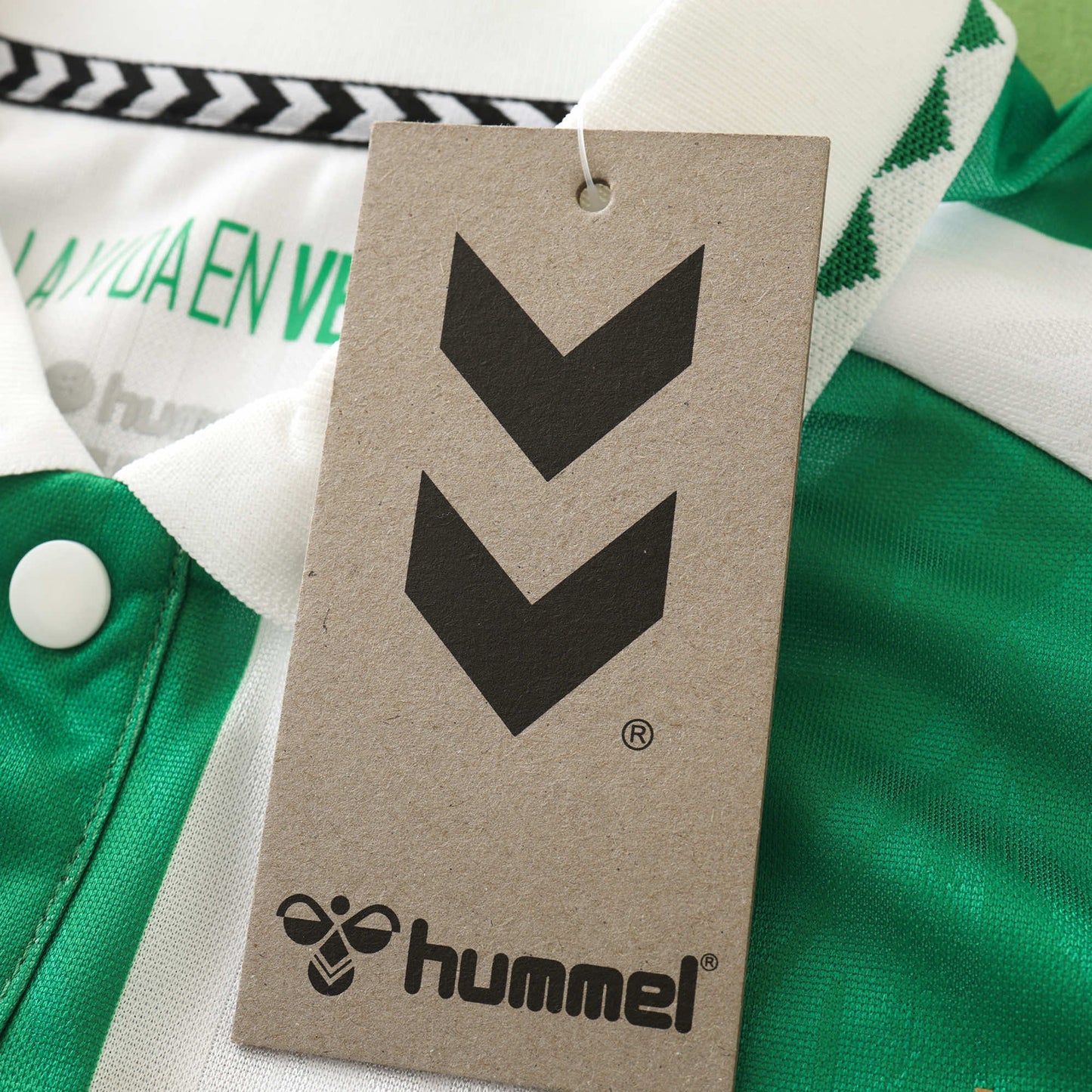 Real Betis 2024/25 Home Jersey - Fan Edition