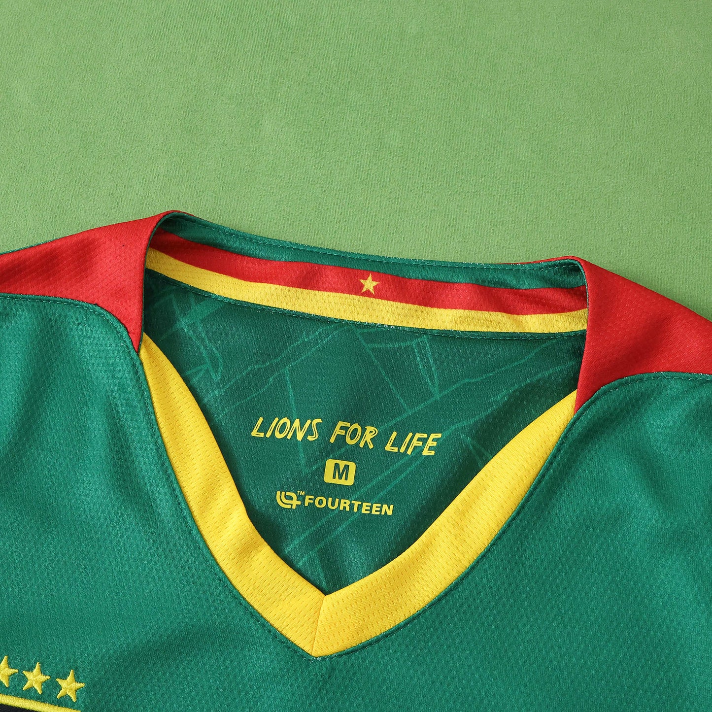 Cameroon 2025/26 Home Jersey - Fan Edition