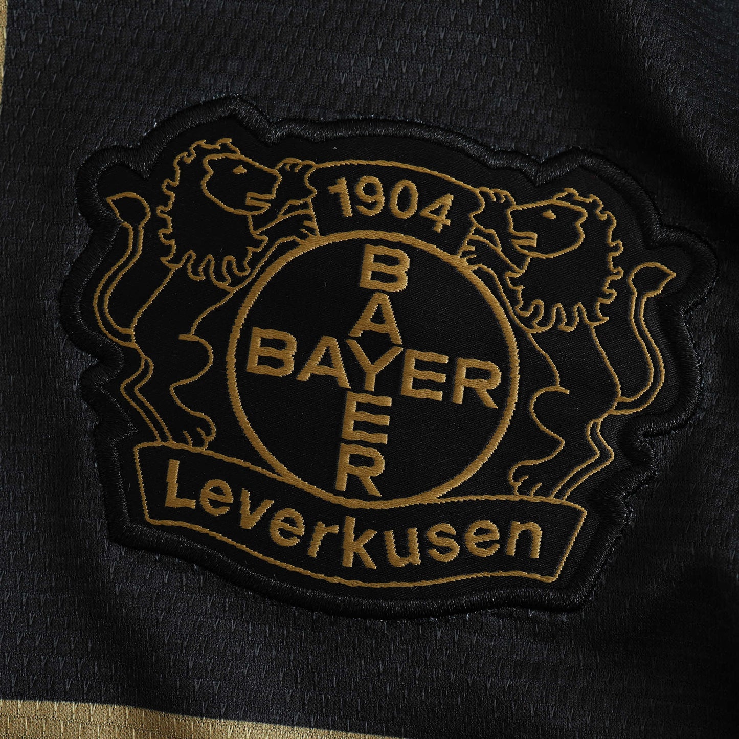 Bayern Leverkusen 2024/25 Special Jersey (Black)- Fan Edition