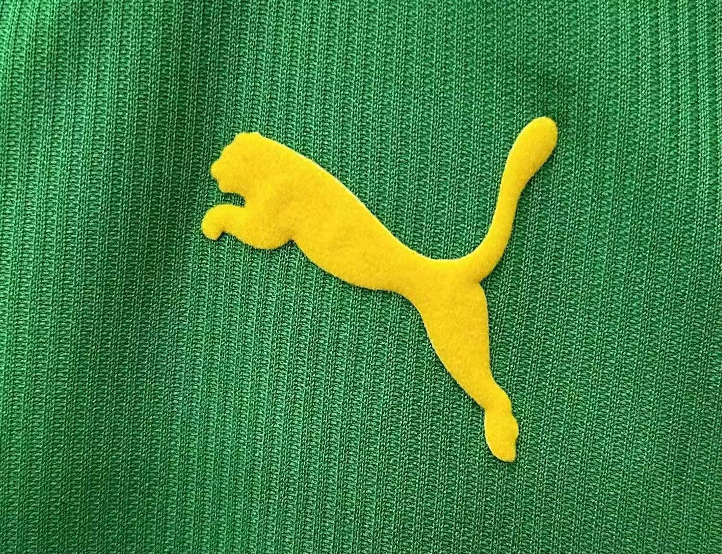 Cameroon 1998/99 Home Jersey - Retro Edition