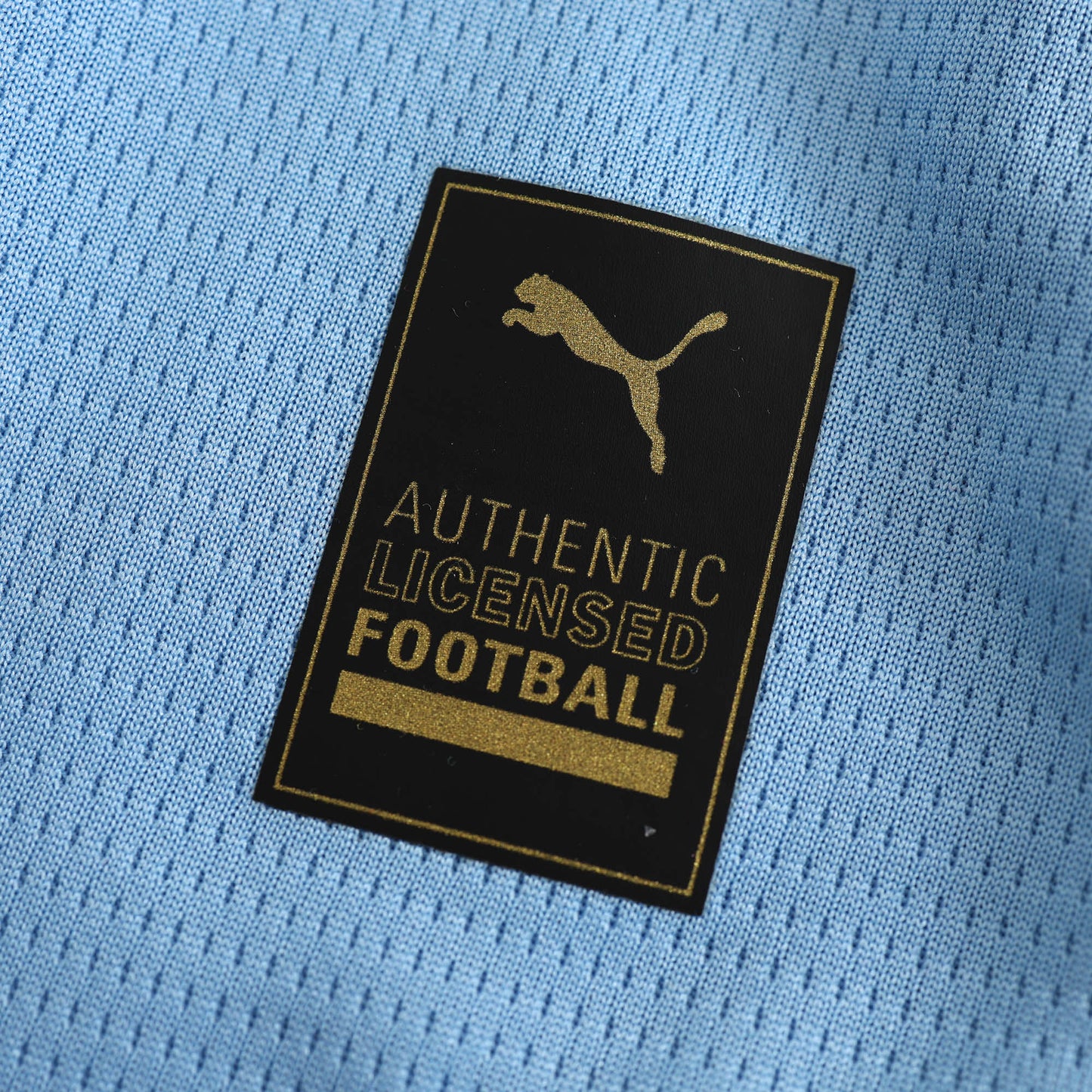 Manchester City 2024/25 Home Jersey - Fan Edition - The Jersey Vault