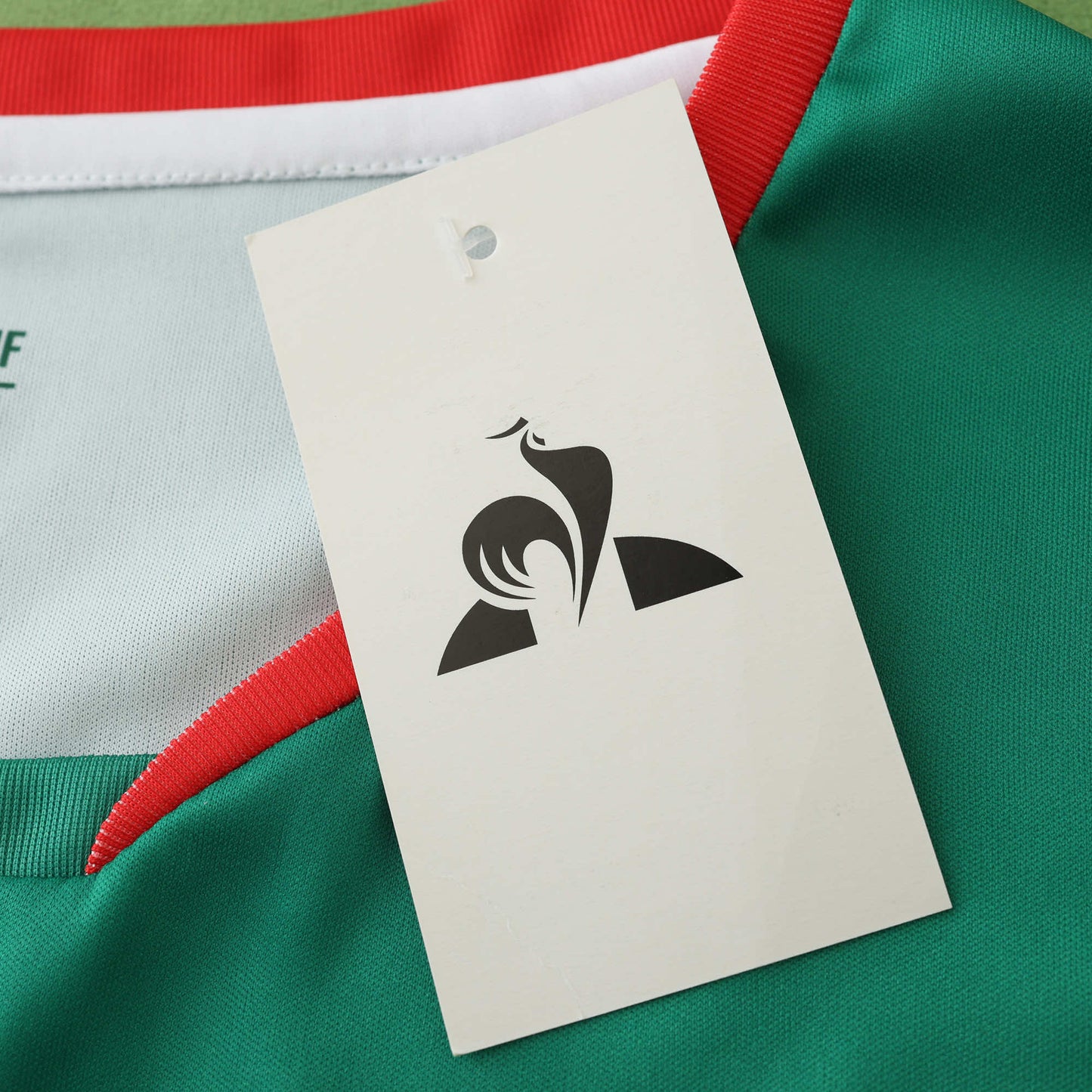 Cameroon 2024/25 Home Jersey - Fan Edition