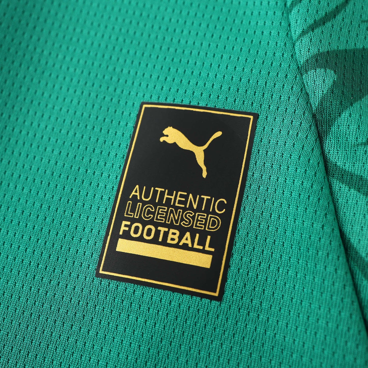 Senegal 2024/25 Home Jersey - Fan Edition