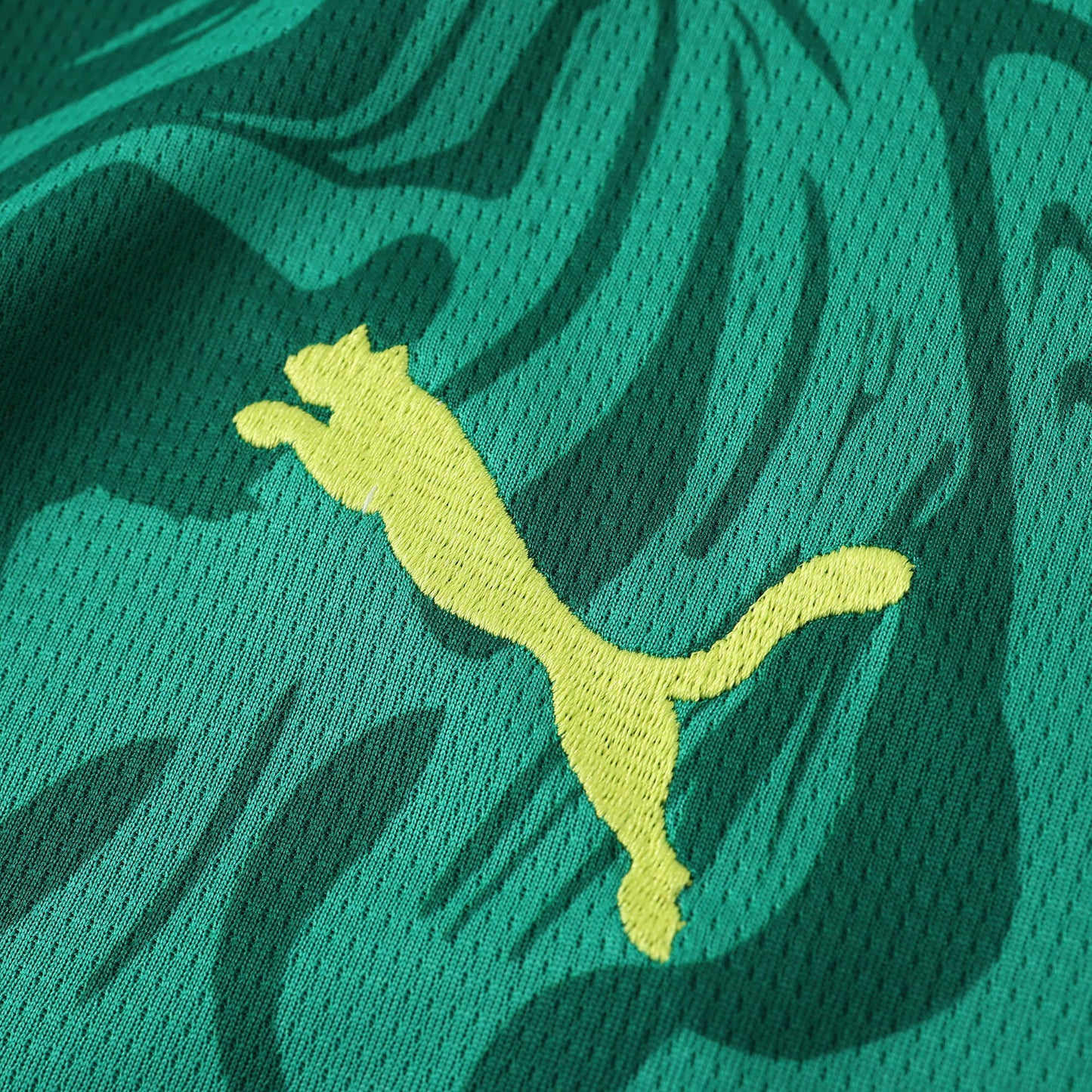 Senegal 2024/25 Home Jersey - Fan Edition