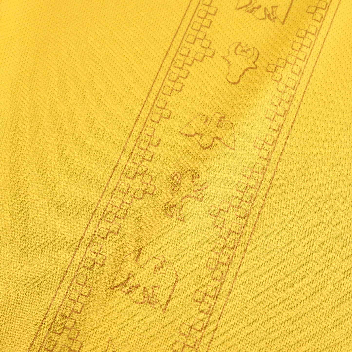 Romania 2024/25 Home Jersey - Fan Edition