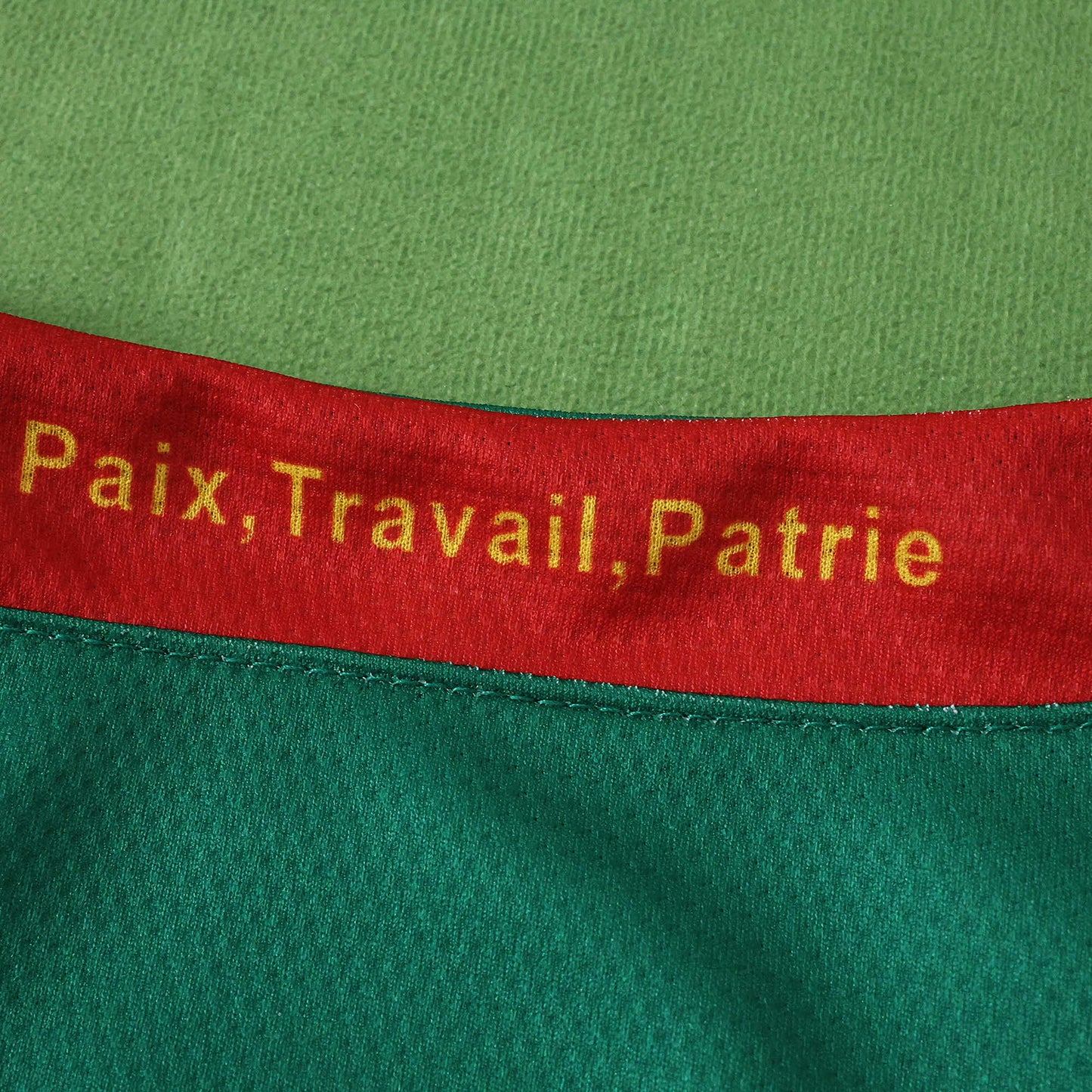 Cameroon 2025/26 Home Jersey - Fan Edition